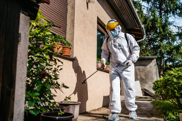 Best Wildlife Control Services  in West Rson, CA