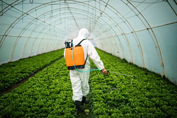 West Carson, CA Pest Control Company
