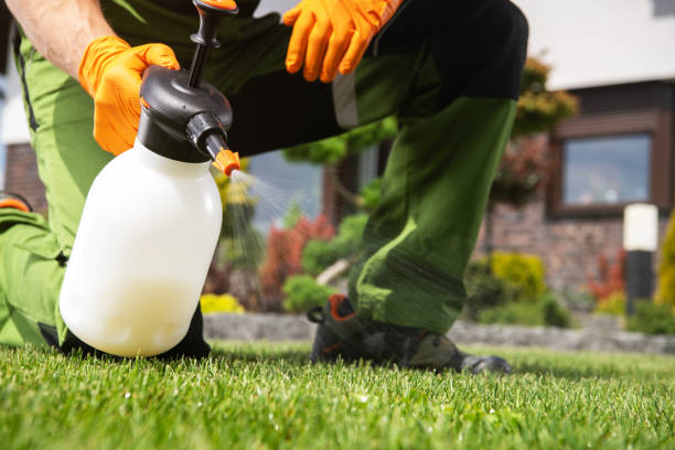  West Rson, CA Pest Control Pros