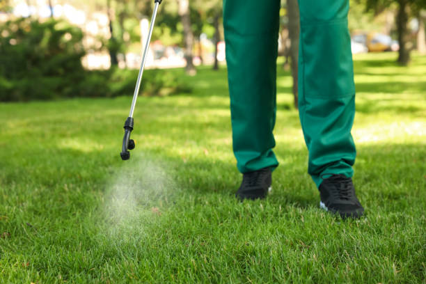 Reliable West Carson, CA Pest Control Solutions