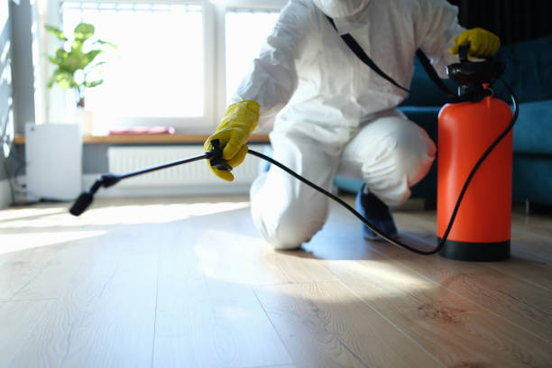Best Local Pest Control Services  in West Rson, CA