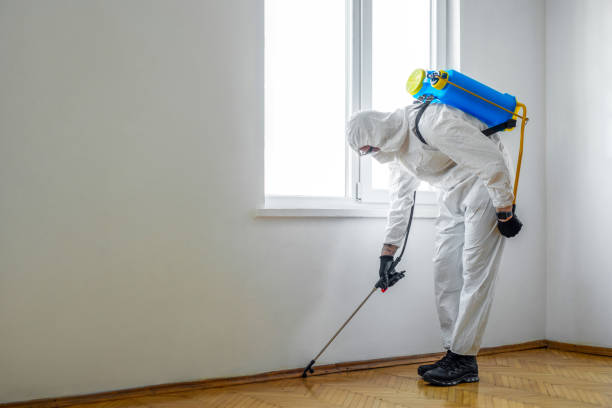 Best Rat Extermination Near Me  in West Rson, CA