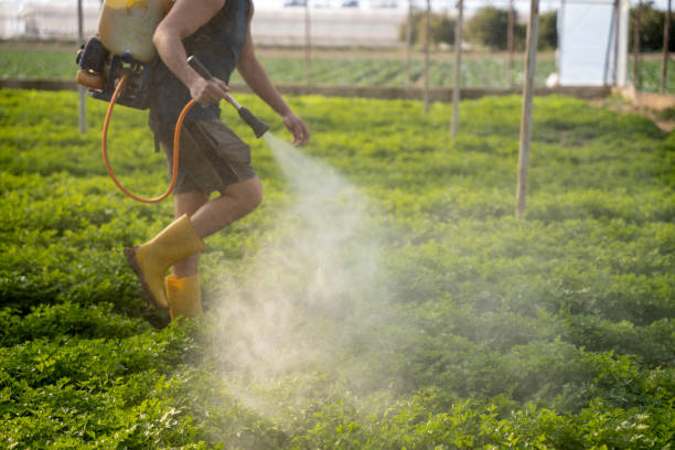 Best Bird Control  in West Rson, CA