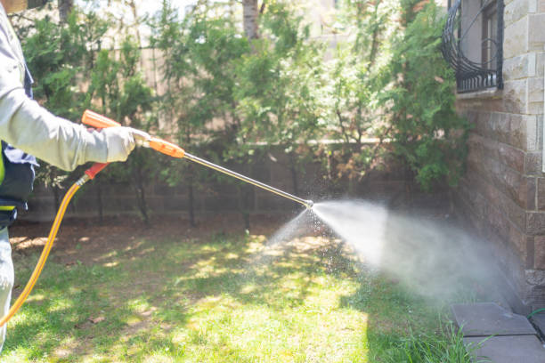 Best Wasp Removal Services  in West Rson, CA