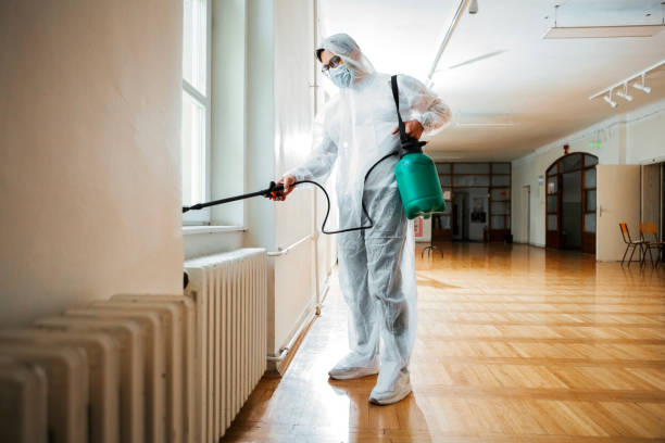 Best Affordable Pest Control Services  in West Rson, CA