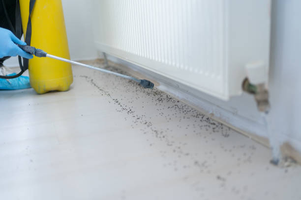 Best Local Pest Control Services  in West Rson, CA