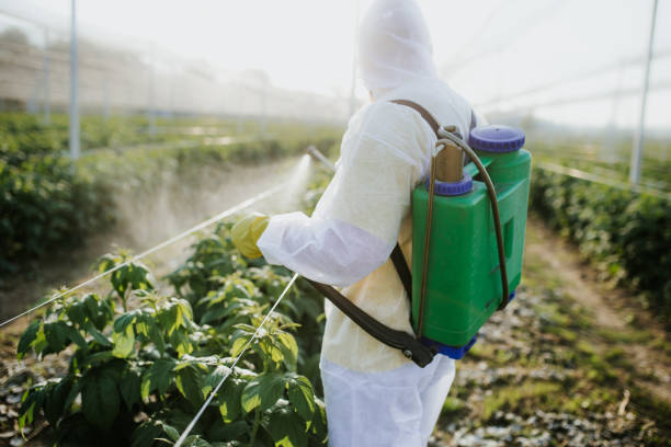 Best Best Pest Control Near Me  in West Rson, CA